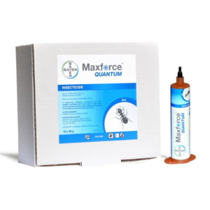 Maxforce Quantum Gel 30g Syringe